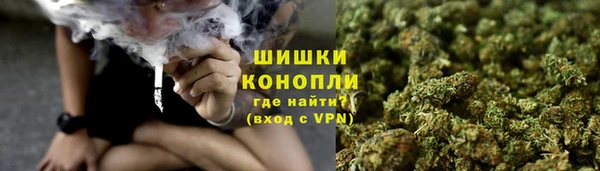 ГАЛЛЮЦИНОГЕННЫЕ ГРИБЫ Алексин