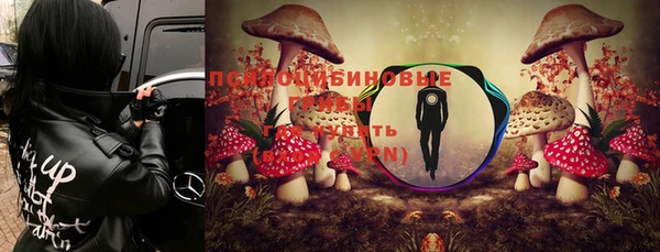 Альфа ПВП Алзамай