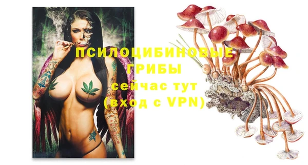Альфа ПВП Алзамай