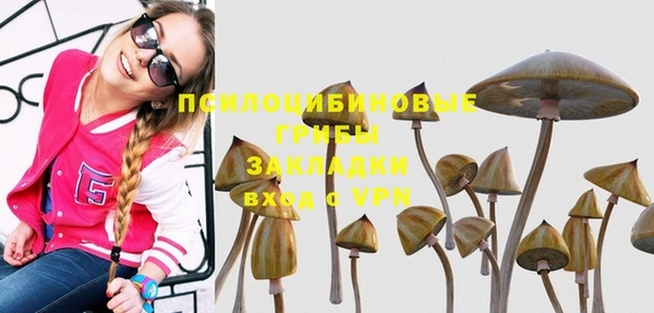 Альфа ПВП Алзамай