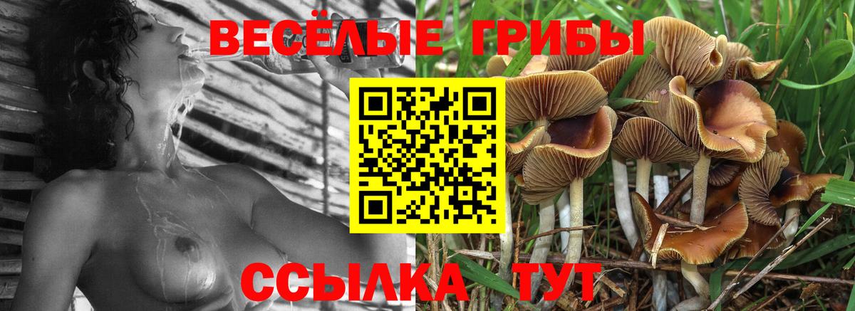 Ачинск  Галлюциногенные грибы Magic Shrooms  Псилоцибиновые грибы прущие грибы  Вход с VPN 